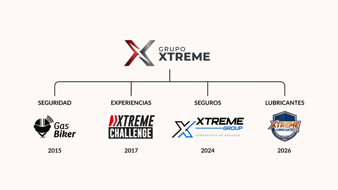 Estructura del grupo